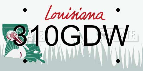 310GDW Louisiana License Plate