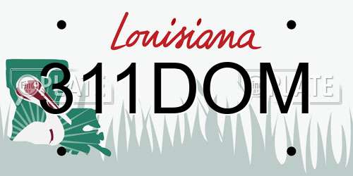 311DOM Louisiana License Plate