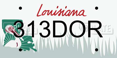 313DOR Louisiana License Plate