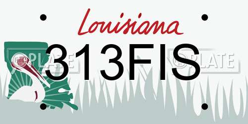 313FIS Louisiana License Plate