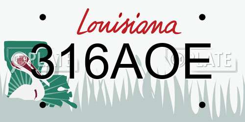 316AOE Louisiana License Plate