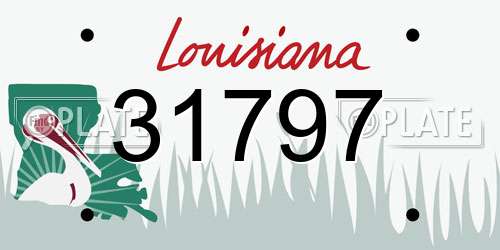 31797 Louisiana License Plate