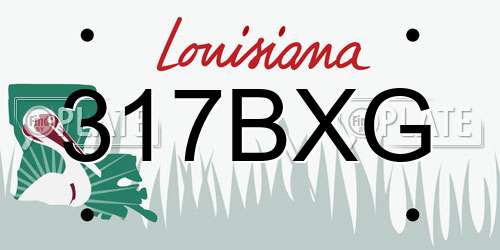 317BXG Louisiana License Plate