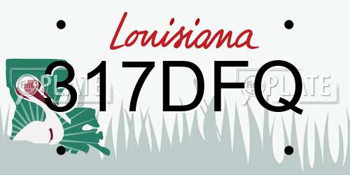 317DFQ Louisiana License Plate
