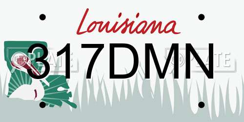 317DMN Louisiana License Plate