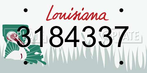 3184337 Louisiana License Plate