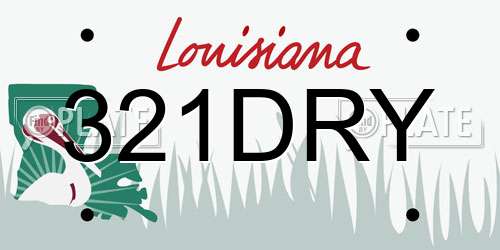 321DRY Louisiana License Plate