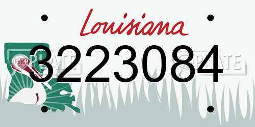 3223084 Louisiana License Plate