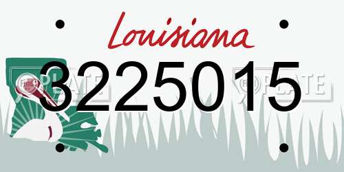 3225015 Louisiana License Plate
