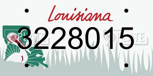 3228015 Louisiana License Plate