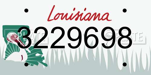 3229698 Louisiana License Plate
