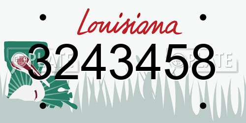 3243458 Louisiana License Plate