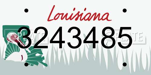 3243485 Louisiana License Plate