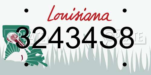 32434S8 Louisiana License Plate