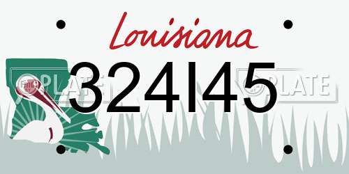 324I45 Louisiana License Plate