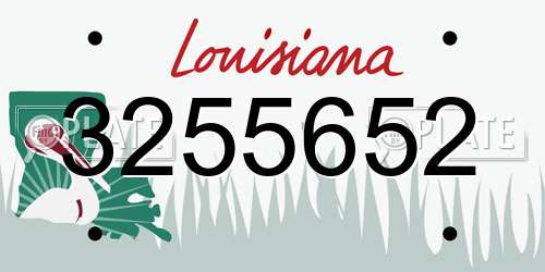 3255652 Louisiana License Plate