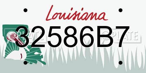 32586B7 Louisiana License Plate