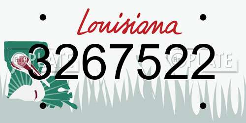 3267522 Louisiana License Plate