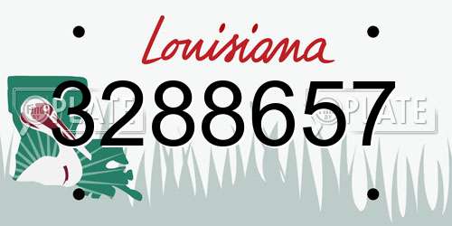 3288657 Louisiana License Plate