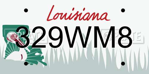 329WM8 Louisiana License Plate