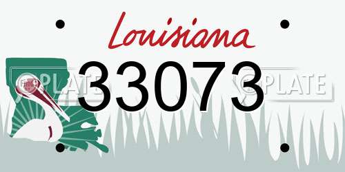 33073 Louisiana License Plate