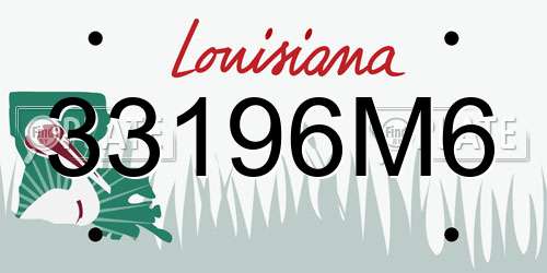 33196M6 Louisiana License Plate