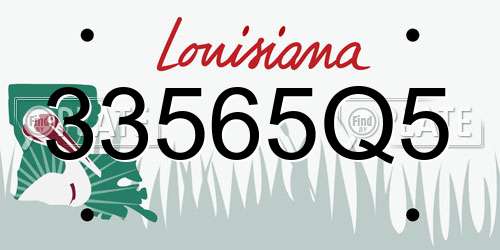 33565Q5 Louisiana License Plate