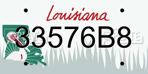 33576B8 Louisiana License Plate