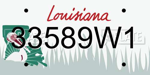 33589W1 Louisiana License Plate