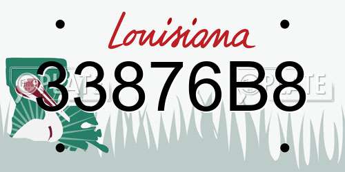 33876B8 Louisiana License Plate