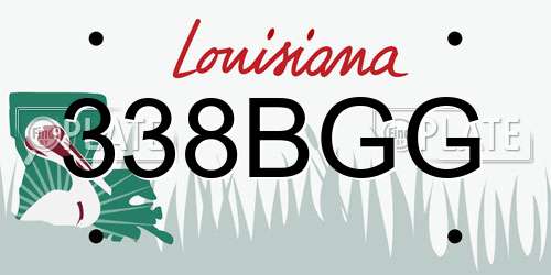 338BGG Louisiana License Plate