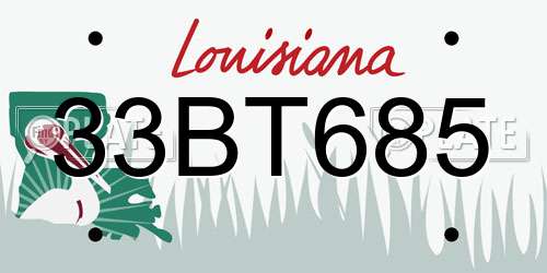 33BT685 Louisiana License Plate