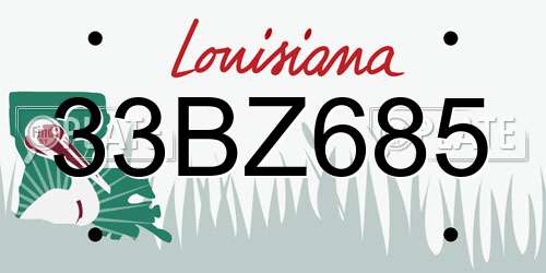 33BZ685 Louisiana License Plate