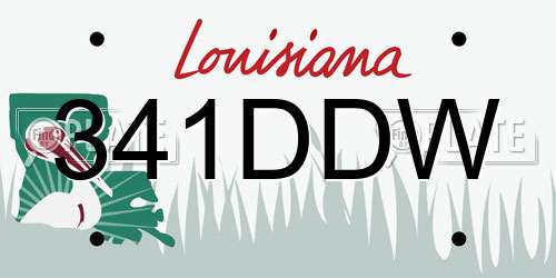 341DDW Louisiana License Plate