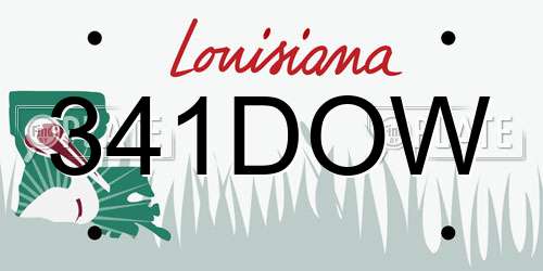 341DOW Louisiana License Plate