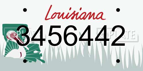 3456442 Louisiana License Plate
