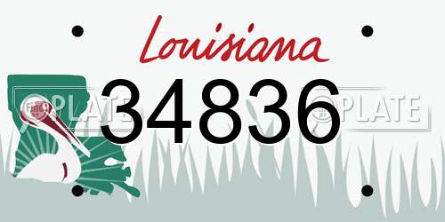 34836 Louisiana License Plate