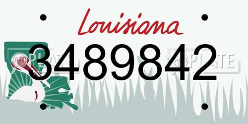 3489842 Louisiana License Plate