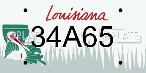 34A65 Louisiana License Plate
