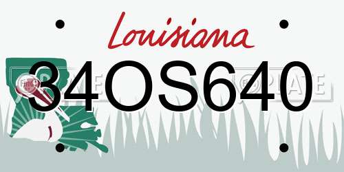 34OS640 Louisiana License Plate