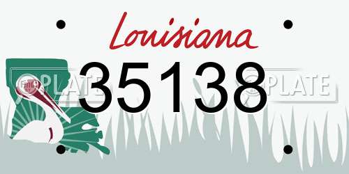 35138 Louisiana License Plate