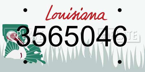 3565046 Louisiana License Plate