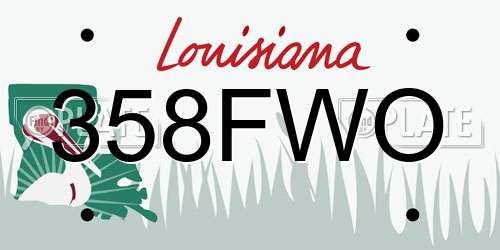 358FWO Louisiana License Plate