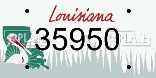 35950 Louisiana License Plate