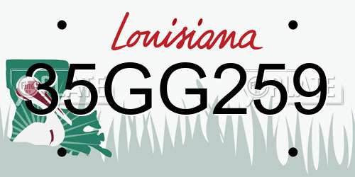35GG259 Louisiana License Plate