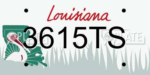 3615TS Louisiana License Plate
