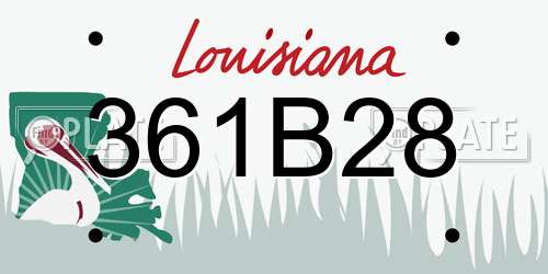 361B28 Louisiana License Plate