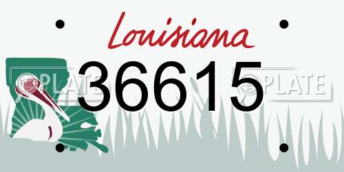 36615 Louisiana License Plate