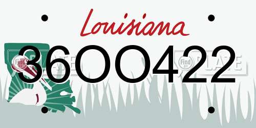36OO422 Louisiana License Plate