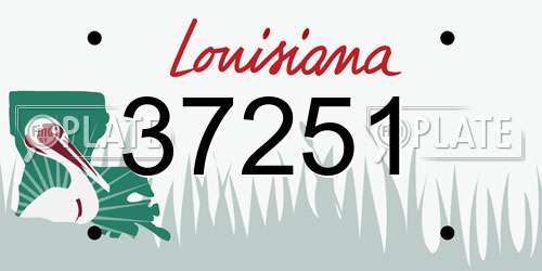 37251 Louisiana License Plate